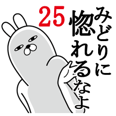 [LINEスタンプ] みどりが使う面白名前スタンプ25