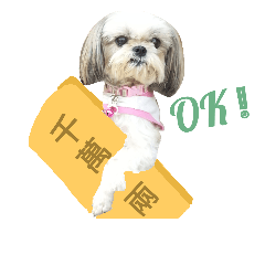 [LINEスタンプ] sunshine-dog