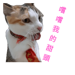 [LINEスタンプ] O Cat~4