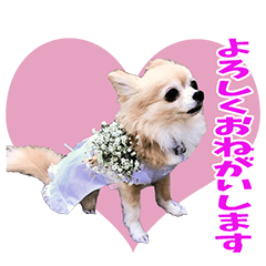 [LINEスタンプ] ♡すもも♡