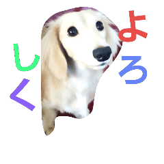 [LINEスタンプ] ダックスのお嬢様 アリス