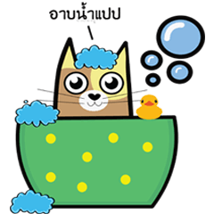 [LINEスタンプ] Why is cats