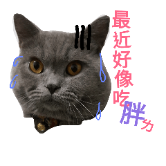 [LINEスタンプ] Rou Bao Life1