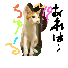 [LINEスタンプ] soreyuke INAHON