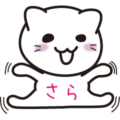 [LINEスタンプ] ＊さら専用＊名前スタンプ