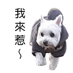 [LINEスタンプ] ~mini dog~