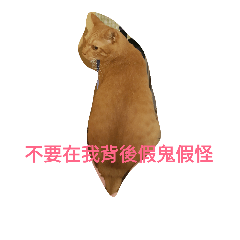 [LINEスタンプ] cat. P