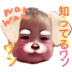 [LINEスタンプ] 赤ちゃんの七変化です。