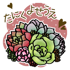 [LINEスタンプ] みんなの多肉植物寄せ植え