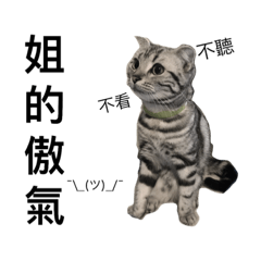 [LINEスタンプ] Proud cat :Little girl