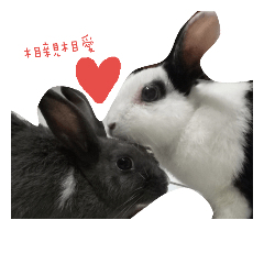 [LINEスタンプ] two lovely rabbits