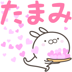 [LINEスタンプ] ☆☆たまみへ送る愛☆☆