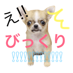 [LINEスタンプ] TontoN スタンプ (日常用)