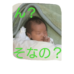 [LINEスタンプ] Shukubaby