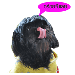 [LINEスタンプ] Chao-Guay Lovely Dog