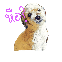 [LINEスタンプ] Kimji is doggg