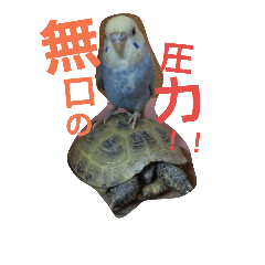 [LINEスタンプ] 小動物達の日常