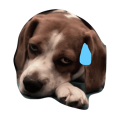 [LINEスタンプ] Dogdag ＆ Louis