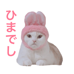 [LINEスタンプ] らんちゃんずファミリー