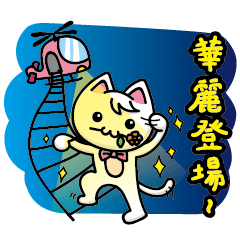 [LINEスタンプ] Ami ＆ Meow's life