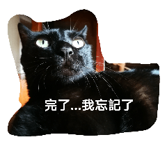 [LINEスタンプ] The animal want to say something