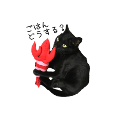 [LINEスタンプ] 黒猫チェリーさんの日常