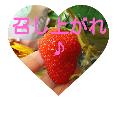 [LINEスタンプ] with nature picture stanp  no. twoの画像（メイン）