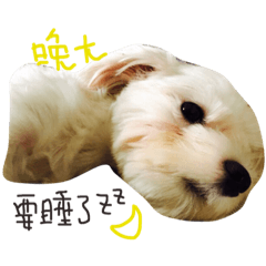 [LINEスタンプ] little Qbi