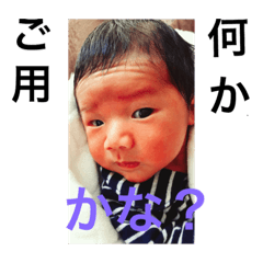 [LINEスタンプ] 柊真誕生