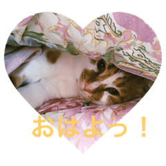 [LINEスタンプ] ちゃまはる