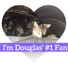 [LINEスタンプ] My Baby Douglas, The Little Elf Cat