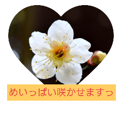 [LINEスタンプ] お花でお返事