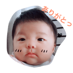 [LINEスタンプ] せいなちゃん