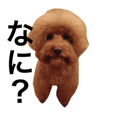 [LINEスタンプ] そら君スタンプ