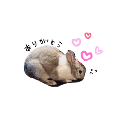 [LINEスタンプ] ももたろう♡