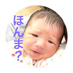 [LINEスタンプ] 赤ちゃん こはる