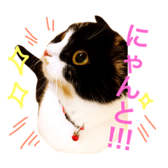 [LINEスタンプ] 日常 (あいさつ  返事)