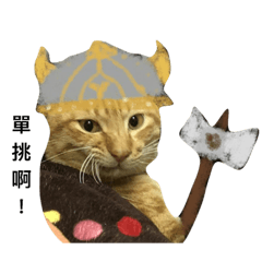 [LINEスタンプ] cat di