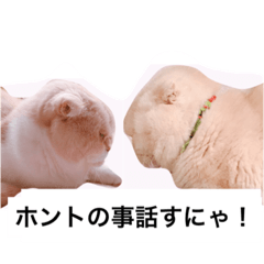 [LINEスタンプ] ジルとブルボン  危機編