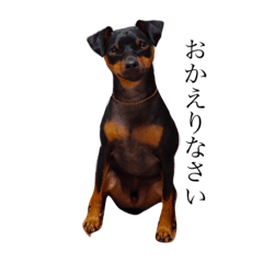 [LINEスタンプ] minipin_simba