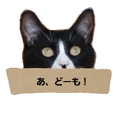 [LINEスタンプ] はちわれの呟き