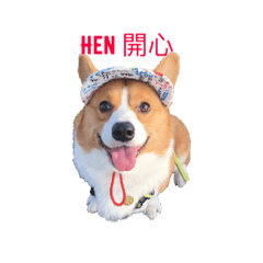 [LINEスタンプ] Corgi.Bao 2