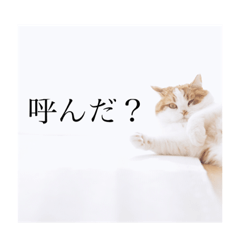 [LINEスタンプ] すいまてんちゃん