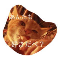 [LINEスタンプ] I am moko.