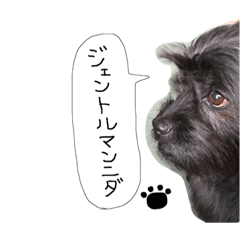 [LINEスタンプ] ルイくんの毎日