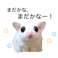 [LINEスタンプ] 我が家のフクモモが代弁①