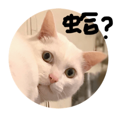 [LINEスタンプ] I am Bobi