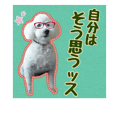 [LINEスタンプ] 白プーえいとちゃん3