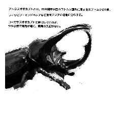 [LINEスタンプ] アトラス君