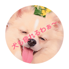 [LINEスタンプ] 生きてるって素晴らしいケン